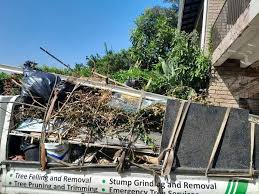 Best Construction Debris Removal in Brandon, FL